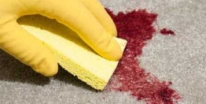 Blood Cleanup Company Brisbane Blood Cleanup Company Brisbane