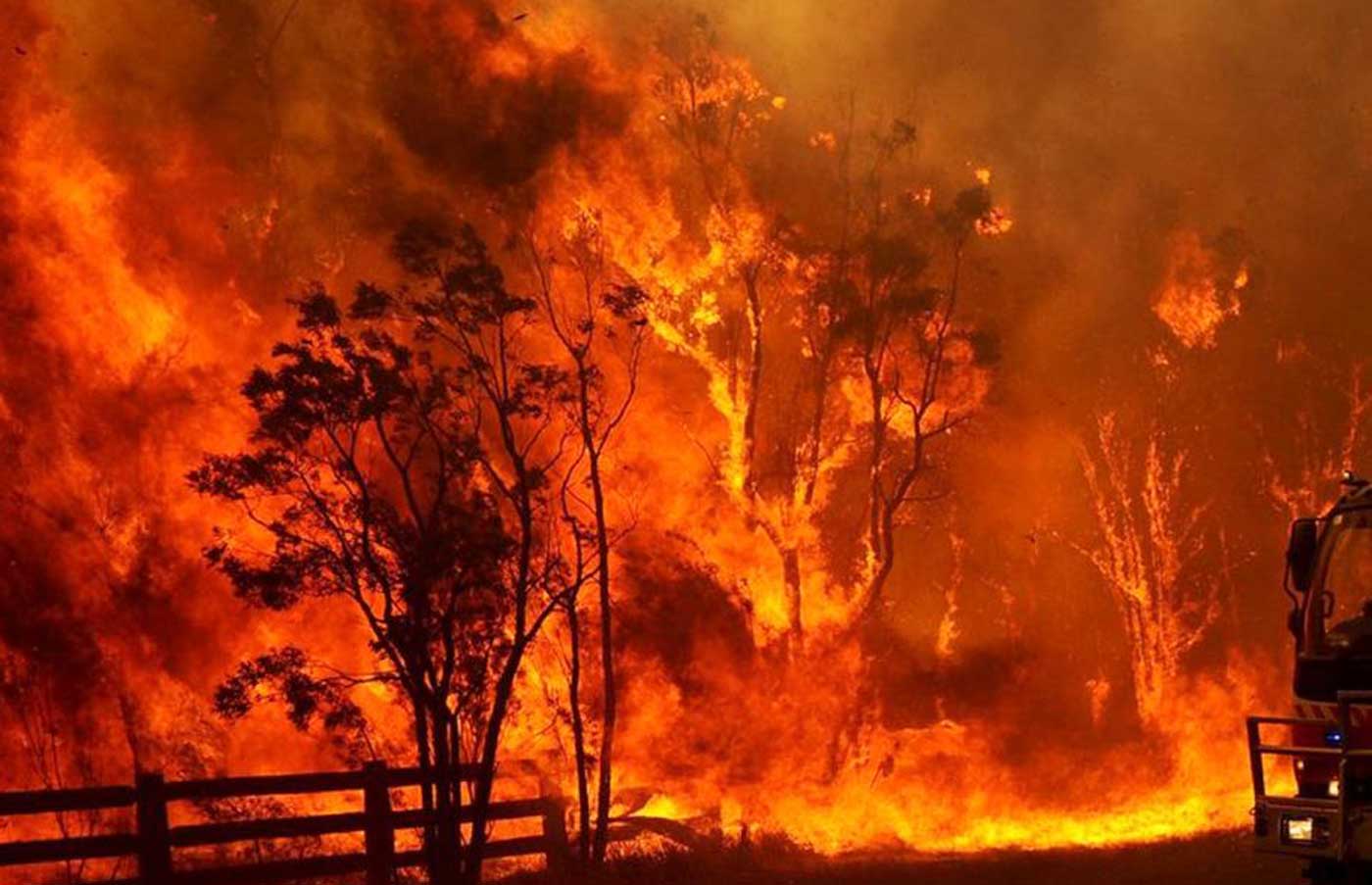 Bush Fire Season | Tips