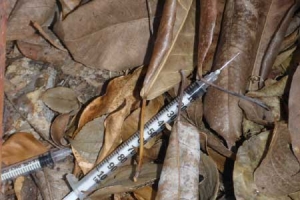 Needle Clearance Inspections | Needle Clearance Certificate Needle Cleaning