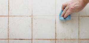 Mould Cleaning Brisbane Mould Cleaning Brisbane