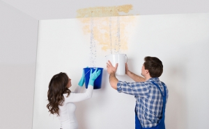 mould-remediation-brisbane-crime-scene-cleaning Prompt Mould Removal and Remediation Brisbane