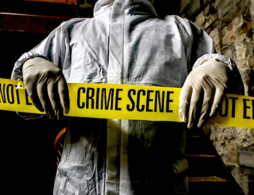 The Ugly Truth About Crime Scene Cleaning in Brisbane