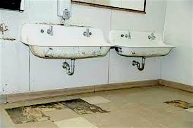 mould clean up brisbane